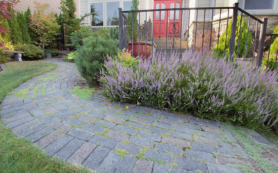 Environmental Benefits of Permeable Pavers